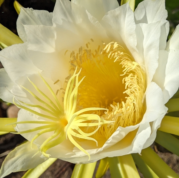 Meet your Posher, Charlene - Picture 6 of 9